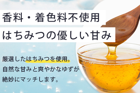【定期便6回】きとうゆずサイダー 340ml 24本入りセット×6回 計144本［徳島県 那賀町 きとうゆず 木頭ゆず 木頭柚子 ゆず ユズ 柚子 サイダー 飲料水 炭酸水 炭酸飲料 ドリンク 炭酸ジュース ソフトドリンク ］【OM-125】