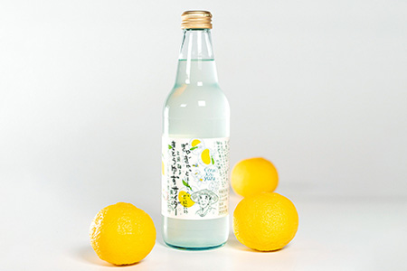 【香料・着色料不使用】きとうゆずサイダー 340ml × 12本セット 木頭ゆず 木頭柚子 木頭ユズ サイダー 炭酸 炭酸飲料 ジュース 12本 OM-28