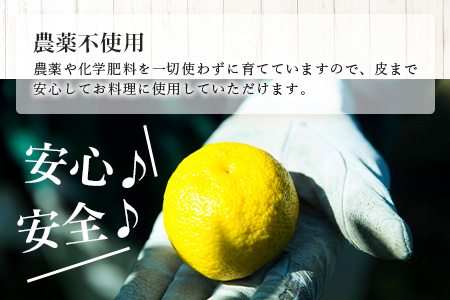 【10月末頃より随時発送】栽培期間中農薬・化学肥料不使用栽培の木頭柚子（黄玉）5kg 【徳島県 那賀町 木頭地区 徳島 那賀 木頭 木頭ゆず 木頭ユズ 木頭柚子 ゆず ユズ 柚子 果実 果物 柑橘 柑橘系 料理 ジャム 柚子風呂】OM-5