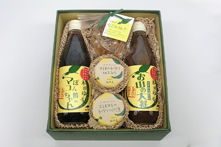 ごはんのおともセット 木頭 ゆず 柚子 ユズ 木頭柚子 木頭ゆず ポン酢 ぽんず ゆずぽん ゆずポン ソース 万能ソース 調味料 柚子味噌 佃煮 つくだ煮 セット 詰合せ ギフト YA-29 通常用