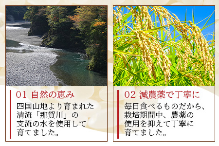 「令和6年産 新米 先行受付」徳島県那賀町相生産 きぬむすめ 白米 10kg 1袋「2024年10月上旬より発送」【徳島 那賀 国産 徳島県産 お米 こめ おこめ 米 ご飯 ごはん 白ご飯 白米 10キロ 和食 おにぎり お弁当 白米 精米 おいしい 食べて応援 お取り寄せ 産地直送】YS-35