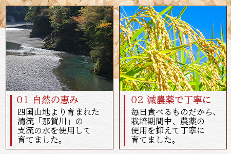 「令和6年産 新米 先行受付」徳島県那賀町相生産 きぬむすめ 玄米 5kg 1袋「2024年10月上旬より発送」【徳島 那賀 国産 徳島県産 お米 こめ おこめ 米 ご飯 ごはん 玄米 5キロ 和食 おにぎり お弁当 おいしい 玄米 食べて応援 お取り寄せ 産地直送】YS-36