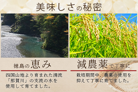 「令和6年産 新米 先行受付」那賀町相生産 てんこもり 白米 5kg 1袋「2024年10月上旬より発送」【徳島 那賀 国産 徳島県産 特A ブランド米 お米 こめ おこめ 米 ご飯 ごはん 白ご飯 白米 5キロ 和食 おにぎり お弁当 白米 精米 おいしい 食べて応援 お取り寄せ 産地直送】YS-38