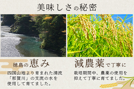 那賀町相生産 みやたまもち 白米 5kg 1袋【徳島 那賀 国産 徳島県産 ミヤタマモチ お米 こめ おこめ 餅米 もち米 お餅 モチ米 米 白米 5キロ 餅 お正月 おはぎ 赤飯 おこわ ちまき 多用途 おいしい 食べて応援 お取り寄せ 産地直送】YS-42