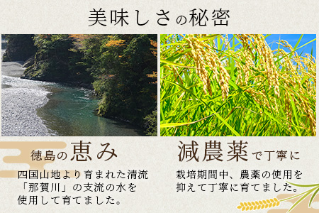 那賀町相生産 みやたまもち 玄米 5kg 1袋【徳島 那賀 国産 徳島県産 ミヤタマモチ お米 こめ おこめ 餅米 もち米 お餅 モチ米 米 玄米 5キロ 餅 お正月 おはぎ 赤飯 おこわ ちまき 多用途 おいしい 食べて応援 お取り寄せ 産地直送】YS-43