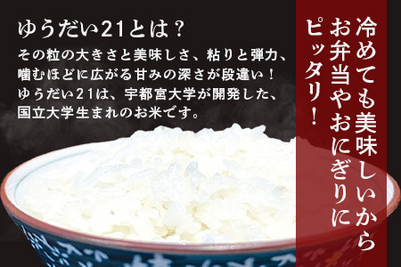 令和7年産 徳島県那賀町産 ぜったい米(こめ)だ 6合×3袋 ゆうだい21【徳島 那賀町 国産 米 お米 白米 精米 徳島県産 国産米 高級米 単一原料米 おいしい 冷めても美味しい お弁当 おにぎり 遠足 ピクニック 贈物 プレゼント お歳暮 ギフト プチギフト 産地直送】ZP-3