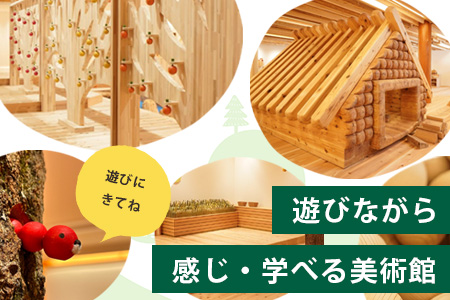 【入館券】那賀町山のおもちゃ美術館【大人1名（高校生以上）】 おもちゃ美術館 おもちゃ 美術館 チケット 入場券 知育 木育 遊べる美術館 体験 体験型 こども 子供 子ども 親子 遊び場 木 柚子 茶葉 那賀町 林業 森林 自然 魅力 温もり CA-4