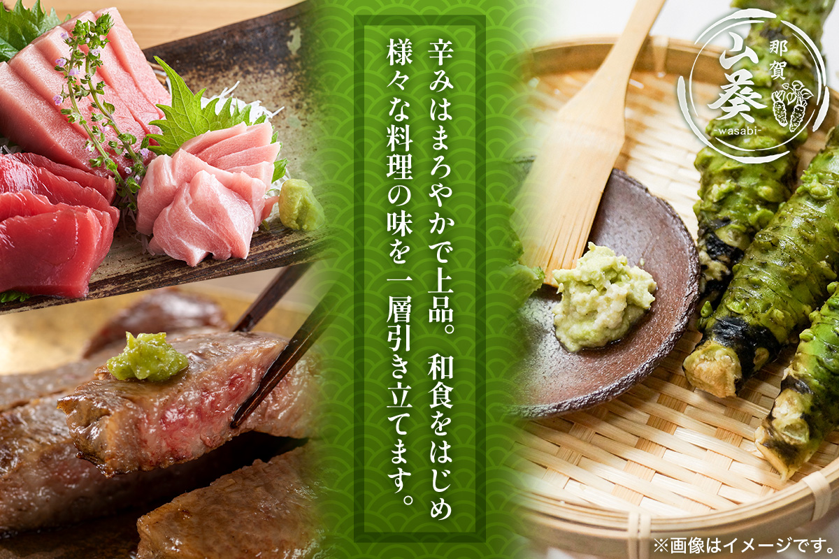 那賀わさび (イシダル) 約200g 2～4本【徳島県 那賀町 生産者直送 産地直送 本わさび わさび ワサビ 生わさび 山葵 野菜 香味野菜 国産 イシダル 薬味 調味料 万能 新鮮】FN-12 那賀わさび (イシダル) 約200g 2～4本