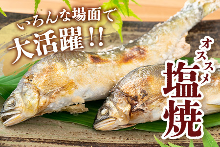 那賀町産 冷凍天然鮎 (小サイズ) 1kg入 KG-2【徳島県 那賀町 徳島 那賀 国産 天然鮎 天然 鮎 アユ あゆ 魚 さかな 冷凍 キャンプ BBQ バーベキュー 塩焼き 川魚 個包装】