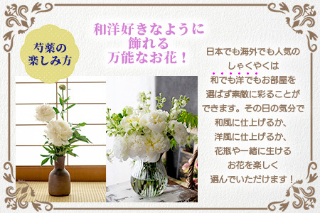 【予約受付】那賀町産 しゃくやく 8本～10本【4月下旬～5月発送】【徳島県 那賀町 相生の花 蕾 生花 お花 花束 生け花 華道 シャクヤク 芍薬 プレゼント 贈り物 フラワーアレンジメント インテリア ドライフラワー 切り花 切花 生産者直送】MN-3