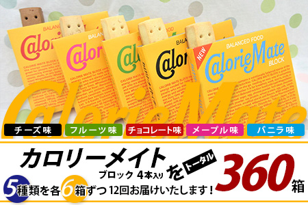 【12回定期便：合計360箱】 カロリーメイト ブロック 4本入り 5種類 各6箱 計30箱 【大塚製薬 定期便 チョコ バニラ メープル チーズ フルーツ 5大栄養素 徳島県 那賀町 非常食 常備食 災害 新生活 備蓄 長期保存 栄養食 定期便】MS-1-12