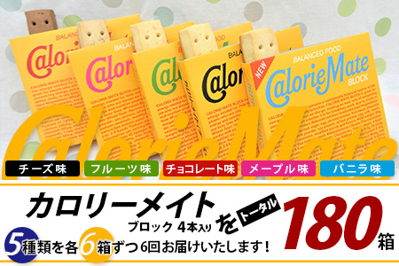 【6回定期便：合計180箱】 カロリーメイト ブロック 4本入り 5種類 各6箱 計30箱 【大塚製薬 定期便 チョコ バニラ メープル チーズ フルーツ 5大栄養素 徳島県 那賀町 非常食 常備食 災害 新生活 備蓄 長期保存 栄養食 定期便】MS-1-6