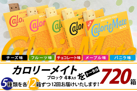 【12回定期便：合計720箱】 カロリーメイト ブロック 4本入り 5種類 各12箱 計60箱 【大塚製薬 定期便 チョコ バニラ メープル チーズ フルーツ 5大栄養素 徳島県 那賀町 非常食 常備食 災害 新生活 備蓄 長期保存 栄養食 定期便】MS-2-12