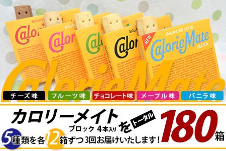 【3回定期便：合計180箱】 カロリーメイト ブロック 4本入り 5種類 各12箱 計60箱 【大塚製薬 定期便 チョコ バニラ メープル チーズ フルーツ 5大栄養素 徳島県 那賀町 非常食 常備食 災害 新生活 備蓄 長期保存 栄養食 定期便】MS-2-3