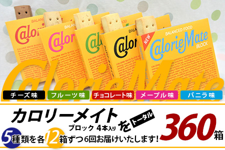 【6回定期便：合計360箱】 カロリーメイト ブロック 4本入り 5種類 各12箱 計60箱 【大塚製薬 定期便 チョコ バニラ メープル チーズ フルーツ 5大栄養素 徳島県 那賀町 非常食 常備食 災害 新生活 備蓄 長期保存 栄養食 定期便】MS-2-6