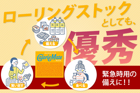 【大塚製薬】カロリーメイトブロック 4本入り60箱 ≪バニラ味≫［徳島 那賀 カロリーメイト バニラ ビタミン ミネラル たんぱく質 脂質 糖質 5大栄養素 バランス栄養食 栄養補給 仕事 勉強 スポーツ 防災 災害 地震 非常食 常備食 備蓄 受験 受験応援 新生活 大塚製薬］【MS-3-5】 4本入り60箱 ≪バニラ味≫