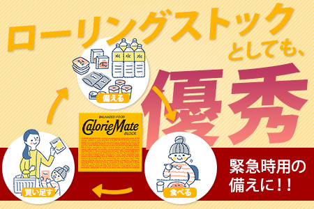 【大塚製薬】カロリーメイトブロック4本入り チーズ味30箱＋フルーツ味30箱［徳島 那賀 カロリーメイト チーズ フルーツ ビタミン ミネラル たんぱく質 脂質 糖質 5大栄養素 バランス栄養食 栄養補給 仕事 勉強 スポーツ 防災 災害 地震 非常食 常備食 備蓄 受験 受験応援 新生活 大塚製薬］【MS-4-2】 チーズ味30箱＋フルーツ味30箱