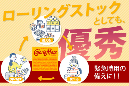 【大塚製薬】カロリーメイトブロック4本入り チョコレート味30箱＋メープル味30箱［徳島 那賀 カロリーメイト チョコ メープル ビタミン ミネラル たんぱく質 脂質 糖質 5大栄養素 バランス栄養食 栄養補給 仕事 勉強 スポーツ 防災 災害 地震 非常食 常備食 備蓄 受験 受験応援 新生活 大塚製薬］【MS-4-7】 チョコレート味30箱＋メープル味30箱