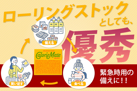 【大塚製薬】カロリーメイトブロック4本入り フルーツ味30箱＋バニラ味30箱［徳島 那賀 カロリーメイト フルーツ バニラ ビタミン ミネラル たんぱく質 脂質 糖質 5大栄養素 バランス栄養食 栄養補給 仕事 勉強 スポーツ 防災 災害 地震 非常食 常備食 備蓄 受験 受験応援 新生活 大塚製薬］【MS-4-8】 フルーツ味30箱＋バニラ味30箱