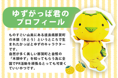 ぐうたらゆずがっぱ Tシャツ 1枚【徳島県 那賀町 ゆずがっぱ かっぱ カッパ 河童 グッズ かわいい シンプル Tシャツ ふく 服 半袖 Lサイズ L 親子 ペア ご当地キャラ】OM-110
