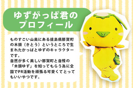 ゆずがっぱポリキーホルダー 1個【徳島県 那賀町 キーホルダー アクキー 木頭ゆず ゆずがっぱ かっぱ カッパ 河童 グッズ かわいい ゆるかわ アクセサリー プレゼント ギフト 子供 プレゼント】OM-115