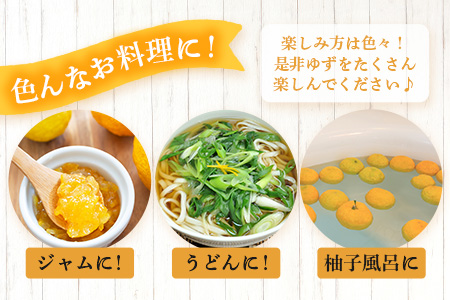 【10月末頃より随時発送】栽培期間中農薬・化学肥料不使用栽培の木頭柚子（黄玉）1kg 【徳島県 那賀町 木頭地区 徳島 那賀 木頭 木頭ゆず 木頭ユズ 木頭柚子 ゆず ユズ 柚子 果実 果物 柑橘 柑橘系 料理 ジャム 柚子風呂】OM-7