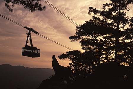 太龍寺 ロープウェイ 往復ペアチケット SC-1【徳島県 那賀町 ロープウェイ 往復乗車券 乗車券 2名様 ペアチケット 現地体験型 旅行 観光 体験 体験型 観光 アクティビティ】