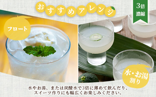 手しぼり木頭ゆず使用 木頭ゆず すっぱ果汁 120ml 3本【徳島県 那賀町 木頭 ゆず 柚子 ユズ 木頭柚子 木頭ゆず ゆず果汁 果汁 ジュース 飲料 果汁飲料 かき氷 シャーベット シロップ 水割り お湯割り 炭酸割り 手作り 無添加 国産 国内製造 生産者直送】YA-36