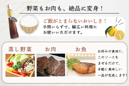 野菜いためにまぜるだけ 120ml 6本【徳島 那賀 木頭柚子 ゆず ユズ 柚子 ソース しょう油 醤油 にんにく 野菜 野菜炒め お肉 おかず 万能調味料 調味料ギフト 調味料 手作り まぜるだけ 主婦の味方 プレゼント ギフト 贈物】YA-7 6本