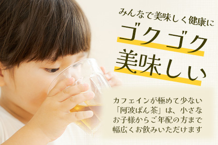 伝統製法 阿波ばん茶 500g 1袋【ふるさと納税 徳島県 那賀町 徳島 那賀 お茶 茶葉 阿波ばん茶 番茶 晩茶 乳酸菌 特産品 国産 発酵茶 茶 発酵 新茶 お取り寄せ お土産】YS-1 阿波ばん茶 500g 1袋