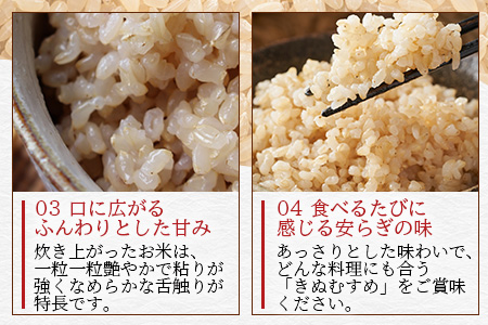 「令和6年産 新米 先行受付」徳島県那賀町相生産 きぬむすめ 玄米 10kg 1袋「2024年10月上旬より発送」【徳島 那賀 国産 徳島県産 お米 こめ おこめ 米 ご飯 ごはん 玄米 10キロ 和食 おにぎり お弁当 おいしい 玄米 食べて応援 お取り寄せ 産地直送】YS-37