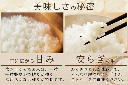 「令和6年産 新米 先行受付」那賀町相生産 てんこもり 白米 5kg 1袋「2024年10月上旬より発送」【徳島 那賀 国産 徳島県産 特A ブランド米 お米 こめ おこめ 米 ご飯 ごはん 白ご飯 白米 5キロ 和食 おにぎり お弁当 白米 精米 おいしい 食べて応援 お取り寄せ 産地直送】YS-38