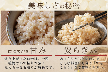 「令和6年産 新米 先行受付」那賀町相生産 てんこもり 玄米 10kg 1袋「2024年10月上旬より発送」【徳島 那賀 国産 徳島県産 特A ブランド米 お米 こめ おこめ 米 ご飯 ごはん 玄米 10キロ 和食 おにぎり お弁当 玄米 おいしい 食べて応援 お取り寄せ 産地直送】YS-41