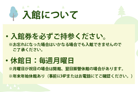 【入館券】那賀町山のおもちゃ美術館【大人1名（高校生以上）・子供１名（小学生～中学生）】 おもちゃ美術館 おもちゃ 美術館 チケット 入場券 知育 木育 遊べる美術館 体験 体験型 こども 子供 子ども 親子 遊び場 木 柚子 茶葉 那賀町 林業 森林 自然 魅力 温もり CA-6
