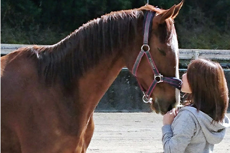 動物ふれあい＆乗馬体験 『わくわくコース』約30分 2名　CC-3 徳島 那賀 体験 乗馬 乗馬体験 チケット トラベル ふれあい 動物とふれあい 自然 アウトドア レジャー 景品 2名様 2枚 思い出 【体験チケット】