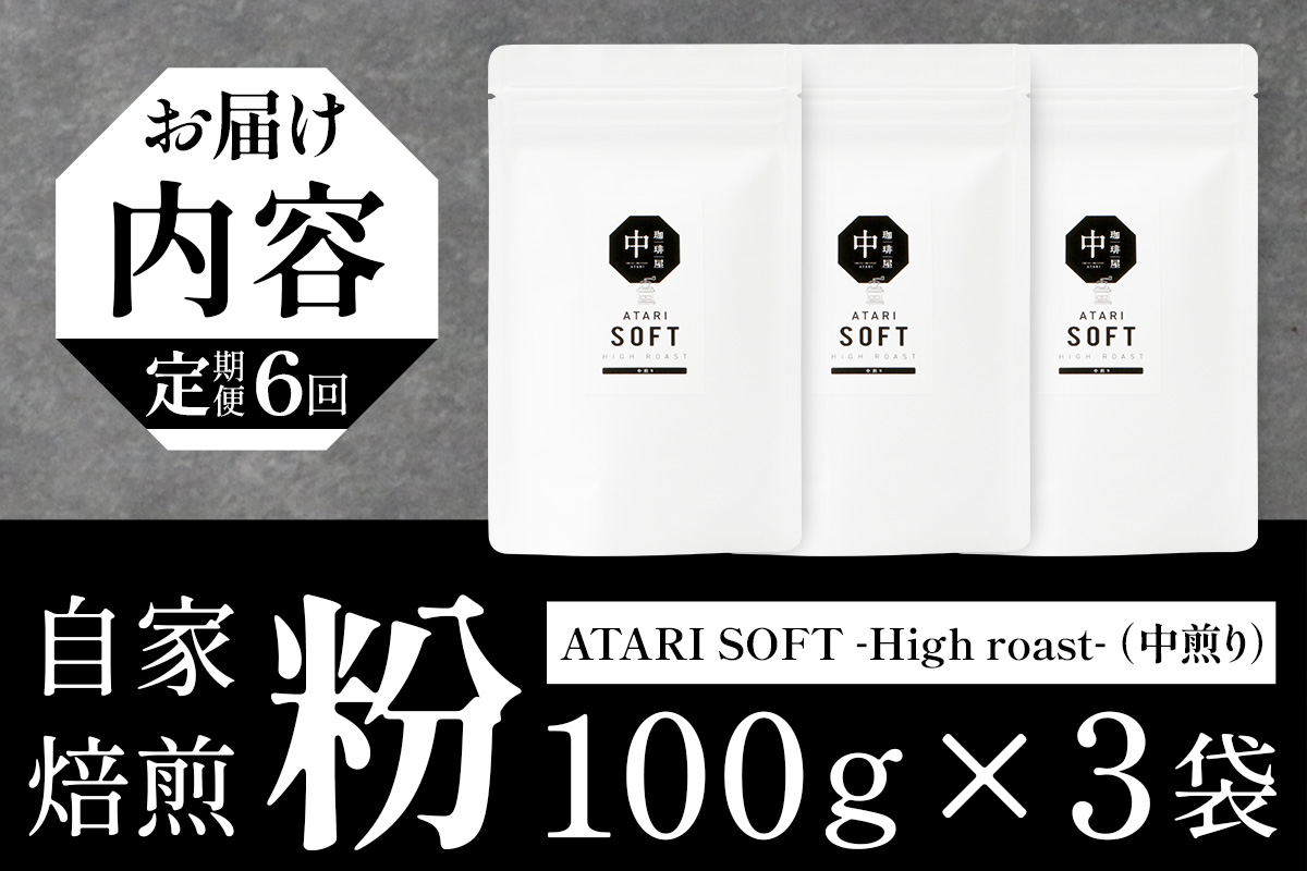 【定期便6回】【粉タイプ】珈琲屋 中-ATARI- SOFT (中煎り) -High roast- 100g×3袋×6回【徳島県 那賀町 自家焙煎 コーヒー 珈琲 ブレンド コーヒー粉 珈琲粉 粉 スペシャリティコーヒー レギュラーコーヒー 中煎り ハイロースト 詰め合わせ ギフト プレゼント お取り寄せ】CO-14 粉タイプ