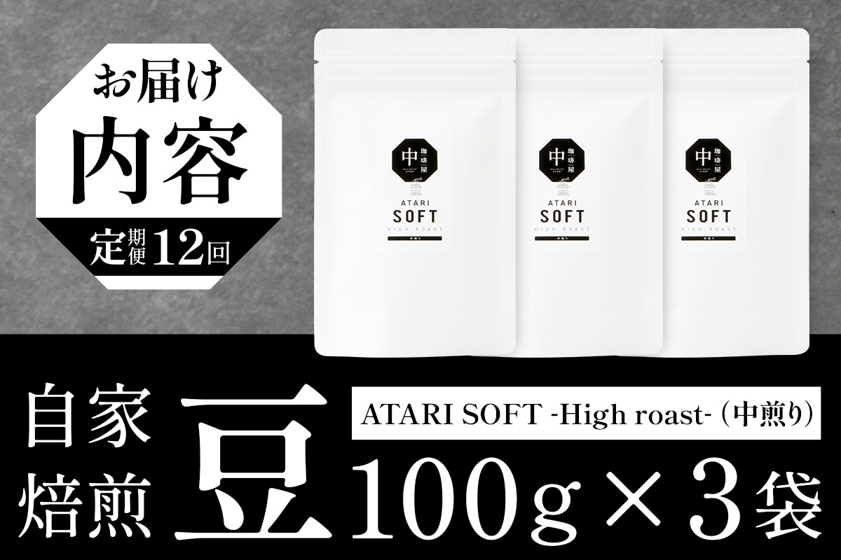 【定期便12回】【豆タイプ】珈琲屋 中-ATARI- SOFT (中煎り) -High roast- 100g×3袋×12回【徳島県 那賀町 自家焙煎 コーヒー 珈琲 ブレンド コーヒー豆 珈琲豆 豆 スペシャリティコーヒー レギュラーコーヒー 中煎り ハイロースト 詰め合わせ ギフト プレゼント お取り寄せ】CO-15 豆タイプ