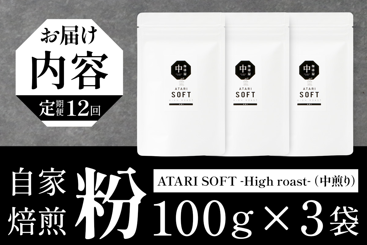 【定期便12回】【粉タイプ】珈琲屋 中-ATARI- SOFT (中煎り) -High roast- 100g×3袋×12回【徳島県 那賀町 自家焙煎 コーヒー 珈琲 ブレンド コーヒー粉 珈琲粉 粉 スペシャリティコーヒー レギュラーコーヒー 中煎り ハイロースト 詰め合わせ ギフト プレゼント お取り寄せ】CO-16 粉タイプ