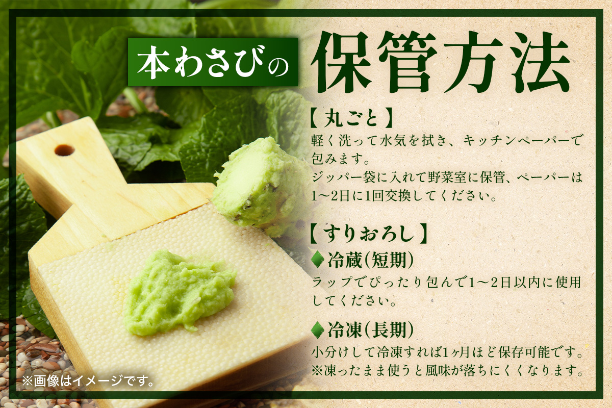 那賀わさび (イシダル) 約100g 1～2本【徳島県 那賀町 生産者直送 産地直送 本わさび わさび ワサビ 生わさび 山葵 野菜 香味野菜 国産 イシダル 薬味 調味料 万能 新鮮】FN-11 那賀わさび (イシダル) 約100g 1～2本