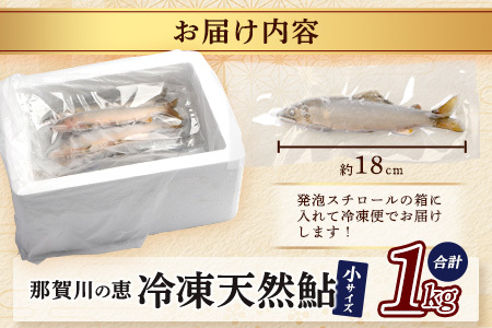 那賀町産 冷凍天然鮎 (小サイズ) 1kg入 KG-2【徳島県 那賀町 徳島 那賀 国産 天然鮎 天然 鮎 アユ あゆ 魚 さかな 冷凍 キャンプ BBQ バーベキュー 塩焼き 川魚 個包装】