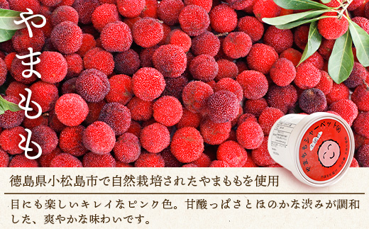 シャーベット 3種 計14個セット (ゆず・みかん・やまもも)【徳島 那賀町 木頭ゆず 木頭ユズ 木頭柚子 みかん ミカン やまもも ヤマモモ スイーツ デザート シャーベット 氷菓 アイス 氷菓子 果汁 無添加 国産 寒天 詰め合わせ 食べ比べ ギフト 贈り物 お取り寄せ グルメ お土産 冷凍】KM-3