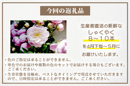 【予約受付】那賀町産 しゃくやく 8本～10本【4月下旬～5月発送】【徳島県 那賀町 相生の花 蕾 生花 お花 花束 生け花 華道 シャクヤク 芍薬 プレゼント 贈り物 フラワーアレンジメント インテリア ドライフラワー 切り花 切花 生産者直送】MN-3