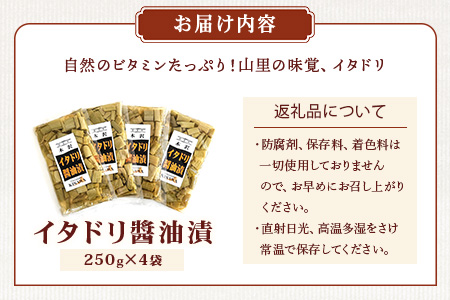 木沢特産 ふるさとの味 イタドリ醤油漬 250g×4袋【徳島県 那賀町 国産 いたどり イタドリ 醤油漬 漬物 漬け物 加工品 山菜 味付き ごはんのおとも ご飯のお供 惣菜 おかず 副菜 小鉢 調味済み おつまみ お酒の肴 時短 お土産 お取り寄せ】MO-7