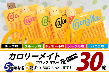 【大塚製薬】カロリーメイト ブロック 4本入り 合計30箱 5種類×各6箱【徳島 那賀 カロリーメイト チョコ バニラ メープル チーズ フルーツ ビタミン ミネラル たんぱく質 脂質 糖質 5大栄養素 バランス栄養食 栄養補給 仕事 勉強 スポーツ 防災 災害 地震 非常食 常備食 備蓄 受験 受験応援 新生活 大塚製薬】MS-1