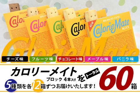 【大塚製薬】カロリーメイト ブロック 4本入り 合計60箱 5種類×各12箱【徳島 那賀 カロリーメイト チョコ バニラ メープル チーズ フルーツ ビタミン ミネラル たんぱく質 脂質 糖質 5大栄養素 バランス栄養食 栄養補給 仕事 勉強 スポーツ 防災 災害 地震 非常食 常備食 備蓄 受験 受験応援 新生活 大塚製薬】MS-2