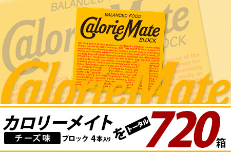 【12回定期便】≪チーズ味≫ カロリーメイトブロック 4本入り 計60箱 ×12回 合計720箱【徳島 那賀 大塚製薬 カロリーメイト チーズ ビタミン ミネラル たんぱく質 脂質 糖質 5大栄養素 バランス栄養食 栄養補給 仕事 勉強 スポーツ 防災 災害 地震 非常食 常備食 備蓄 受験 受験応援 新生活】MS-3-12-cheese