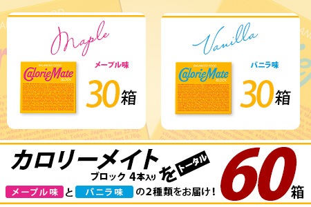 【大塚製薬】カロリーメイトブロック4本入り メープル味30箱＋バニラ味30箱［徳島 那賀 カロリーメイト メープル バニラ ビタミン ミネラル たんぱく質 脂質 糖質 5大栄養素 バランス栄養食 栄養補給 仕事 勉強 スポーツ 防災 災害 地震 非常食 常備食 備蓄 受験 受験応援 新生活 大塚製薬］【MS-4-10】 メープル味30箱＋バニラ味30箱