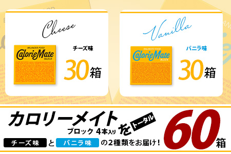 【大塚製薬】カロリーメイトブロック4本入り チーズ味30箱＋バニラ味30箱［徳島 那賀 カロリーメイト チーズ バニラ ビタミン ミネラル たんぱく質 脂質 糖質 5大栄養素 バランス栄養食 栄養補給 仕事 勉強 スポーツ 防災 災害 地震 非常食 常備食 備蓄 受験 受験応援 新生活 大塚製薬］【MS-4-3】 チーズ味30箱＋バニラ味30箱