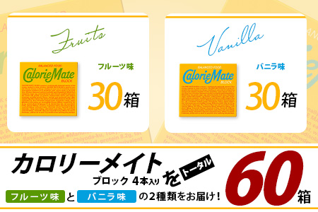 【大塚製薬】カロリーメイトブロック4本入り フルーツ味30箱＋バニラ味30箱［徳島 那賀 カロリーメイト フルーツ バニラ ビタミン ミネラル たんぱく質 脂質 糖質 5大栄養素 バランス栄養食 栄養補給 仕事 勉強 スポーツ 防災 災害 地震 非常食 常備食 備蓄 受験 受験応援 新生活 大塚製薬］【MS-4-8】 フルーツ味30箱＋バニラ味30箱