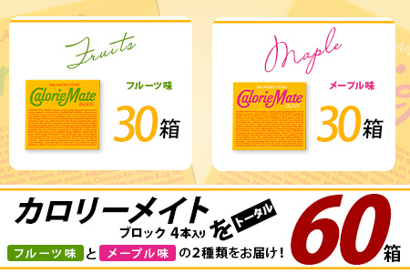 【大塚製薬】カロリーメイトブロック4本入り フルーツ味30箱＋メープル味30箱［徳島 那賀 カロリーメイト フルーツ メープル ビタミン ミネラル たんぱく質 脂質 糖質 5大栄養素 バランス栄養食 栄養補給 仕事 勉強 スポーツ 防災 災害 地震 非常食 常備食 備蓄 受験 受験応援 新生活 大塚製薬］【MS-4-9】 フルーツ味30箱＋メープル味30箱